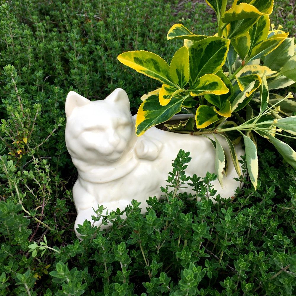 vintage Kitty Cat planter